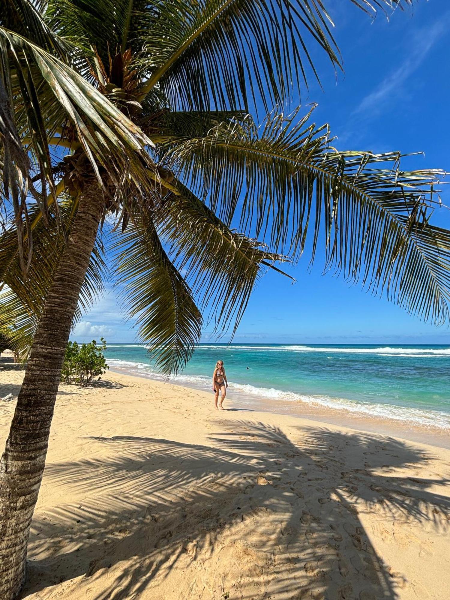 La Maison Creole Du Flamboyant - Proche Des Plages Villa Anse-Bertrand Exteriör bild