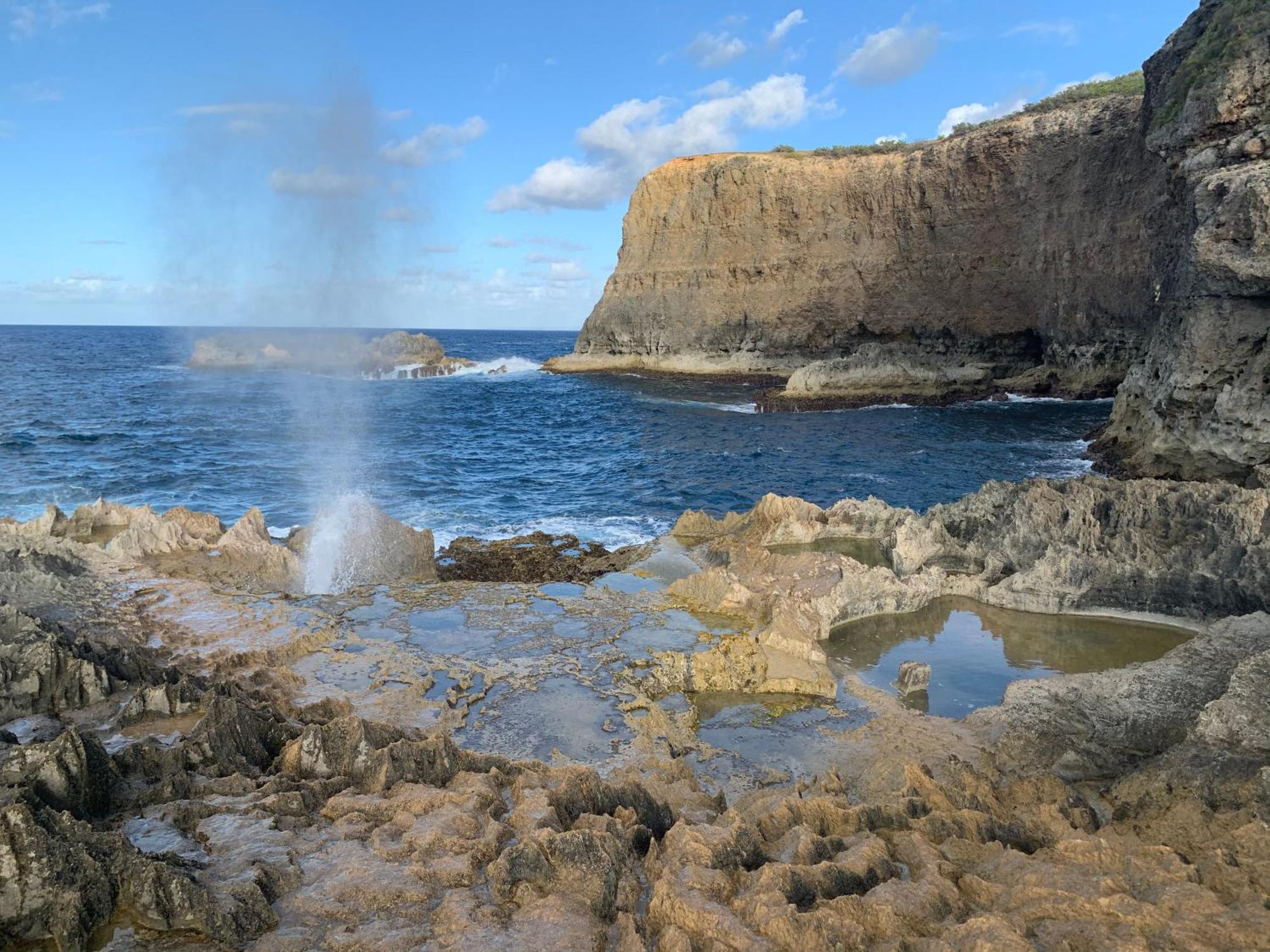 La Maison Creole Du Flamboyant - Proche Des Plages Anse-Bertrand Exteriör bild