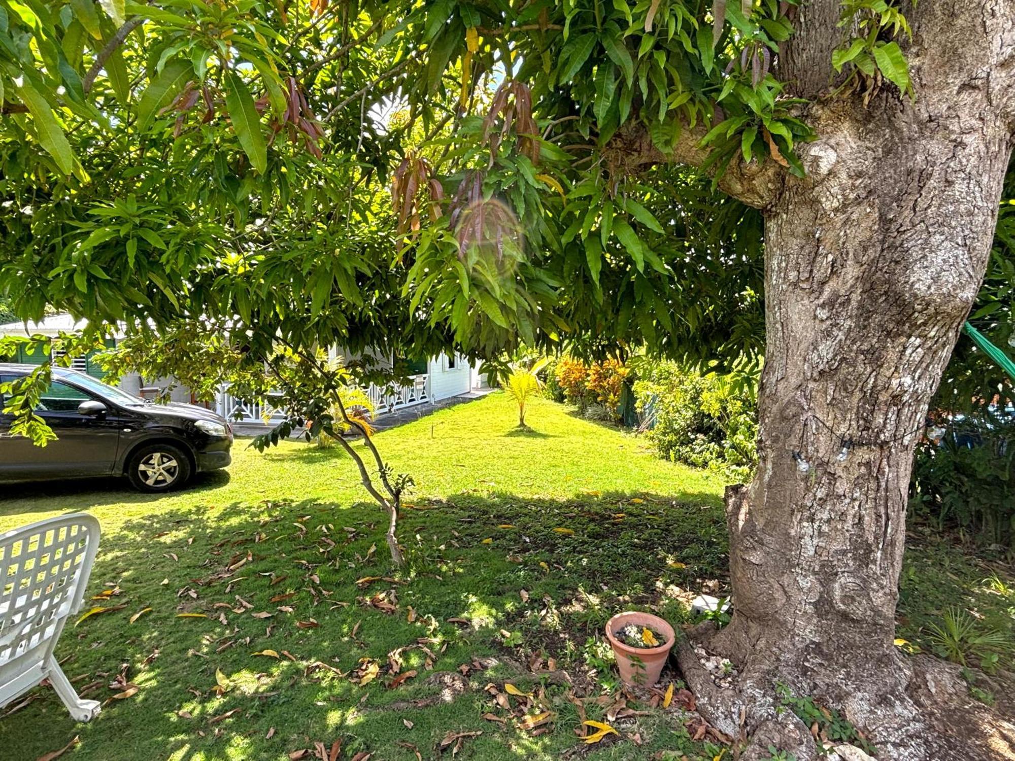 La Maison Creole Du Flamboyant - Proche Des Plages Villa Anse-Bertrand Exteriör bild