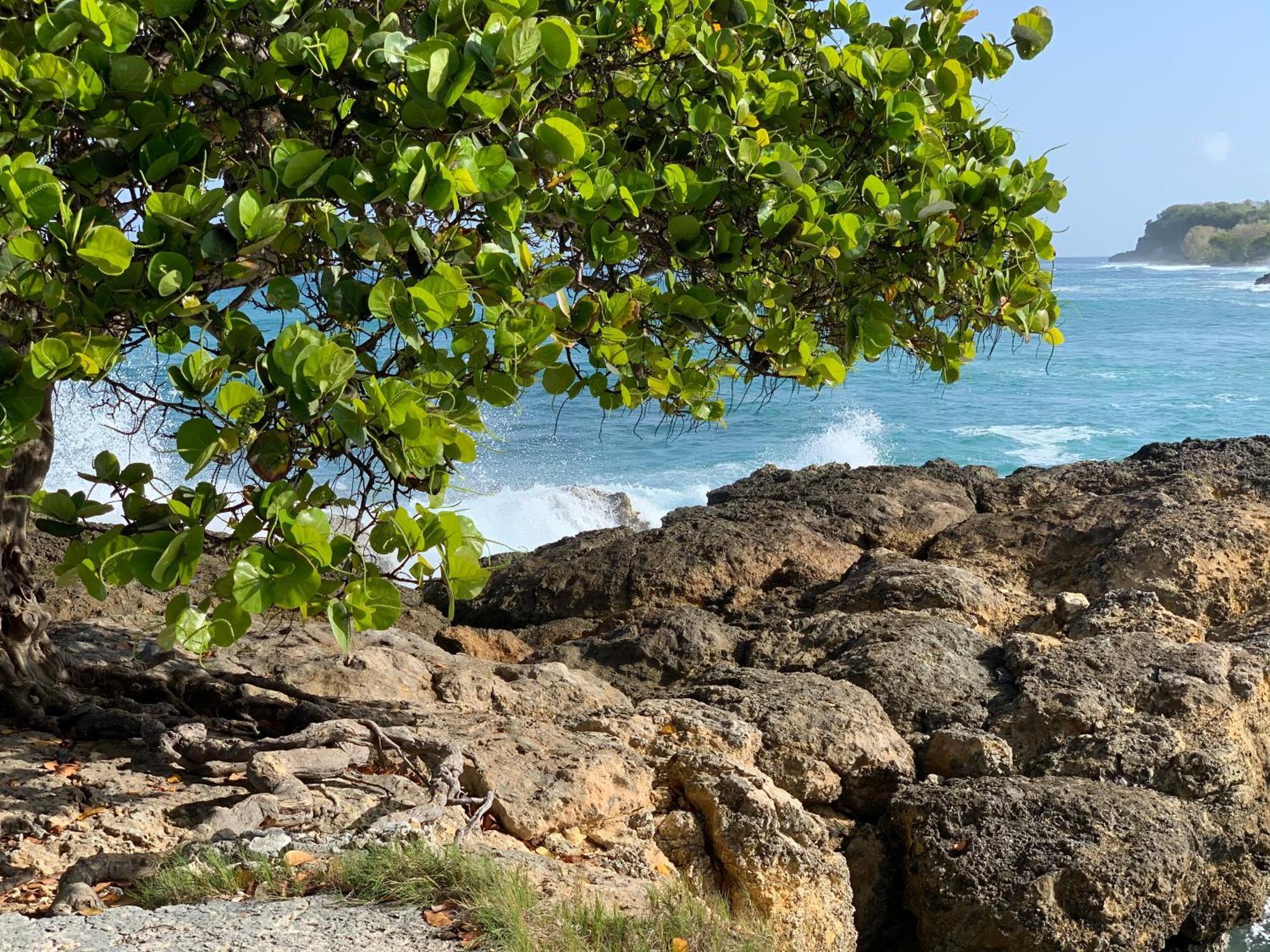 La Maison Creole Du Flamboyant - Proche Des Plages Villa Anse-Bertrand Exteriör bild