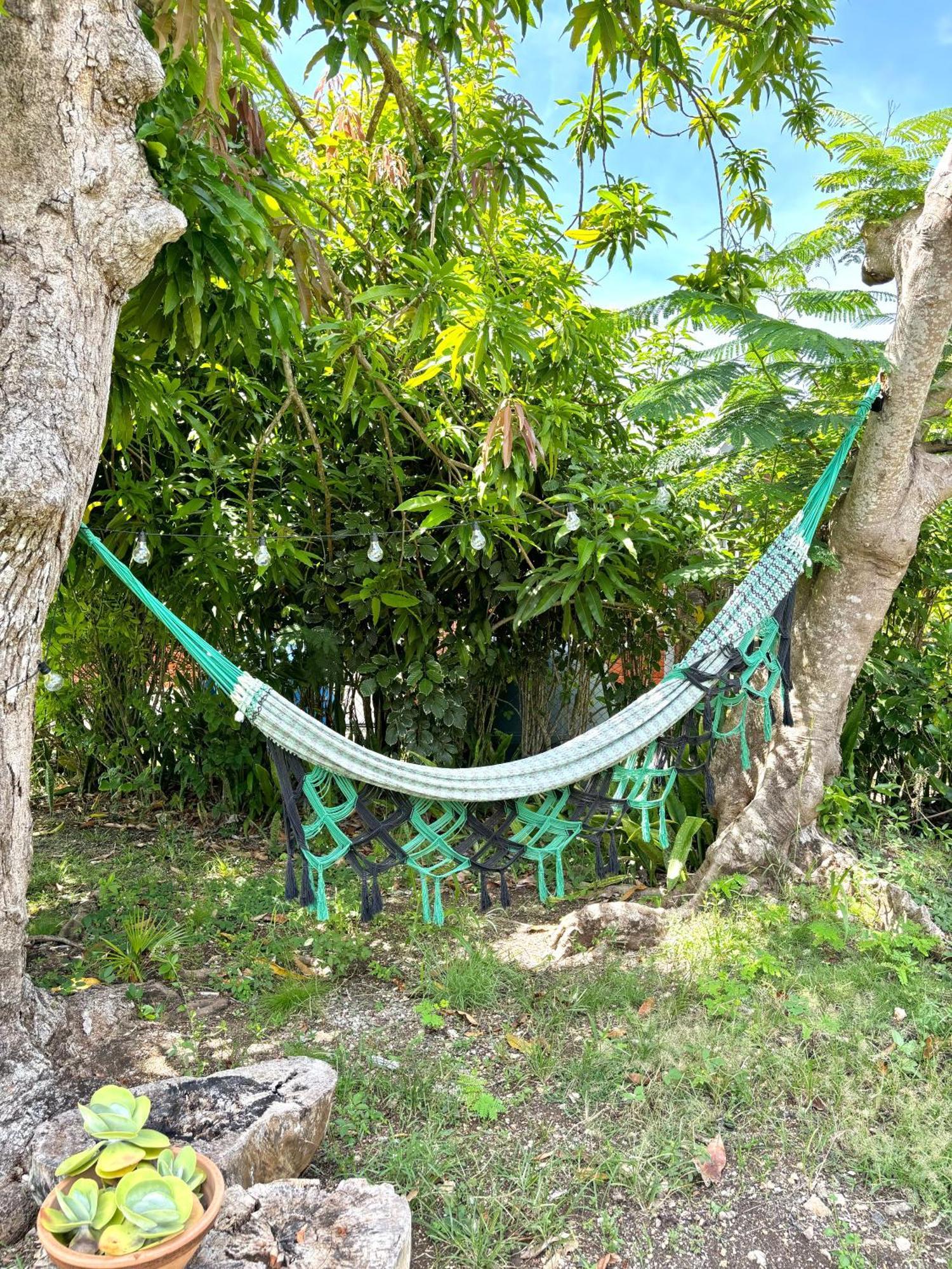La Maison Creole Du Flamboyant - Proche Des Plages Anse-Bertrand Exteriör bild